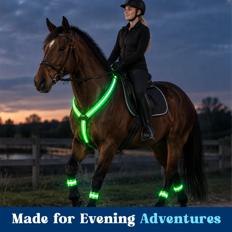 Light-up Horse-riding Set