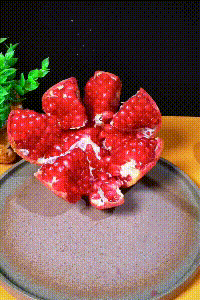 Manual stainless steel fruit juicer for fresh juice