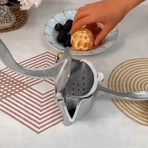 Manual stainless steel juicer press handle for fruit juice