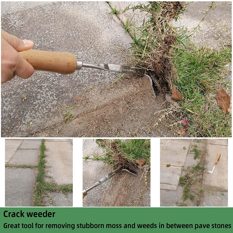 Crack Weeder Stainless Steel Crevice Weeding Tool Weeder Tool - image 7