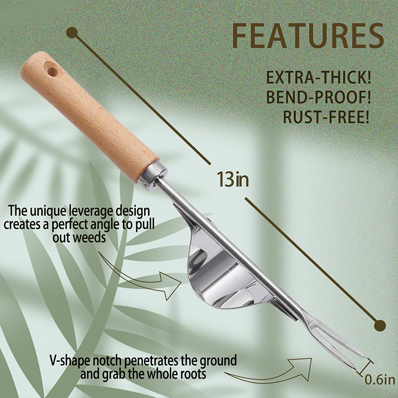 Crack Weeder Stainless Steel Crevice Weeding Tool Weeder Tool - Weeding Tool - image 8