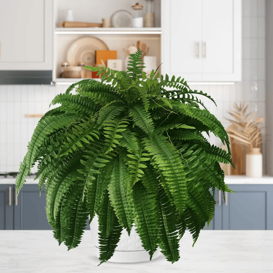 🔥$9.98 Today Only--UV Resistant Lifelike Artificial Boston Fern🌱
