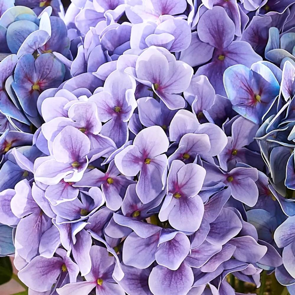 💥Last Day 70% OFF💐Artificial Outdoor Hydrangea Flowers - UV resistant, Waterproof, Windproof