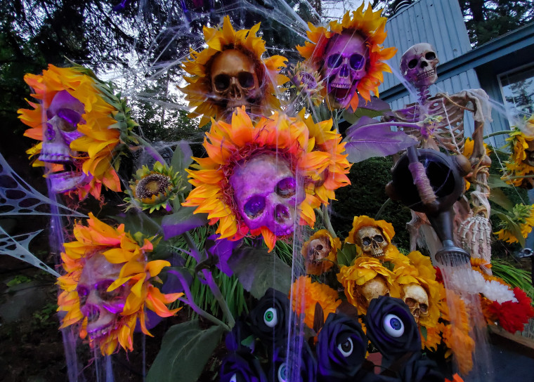 Oslon's display grows spookier at night, with lights and spiderwebs casting eerie shadows over the skull flowers.