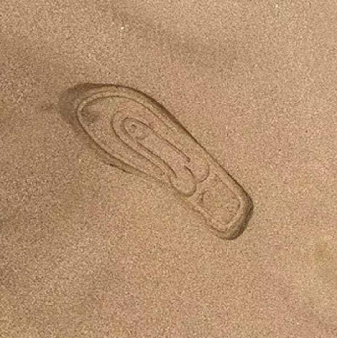 Beach flip-flops