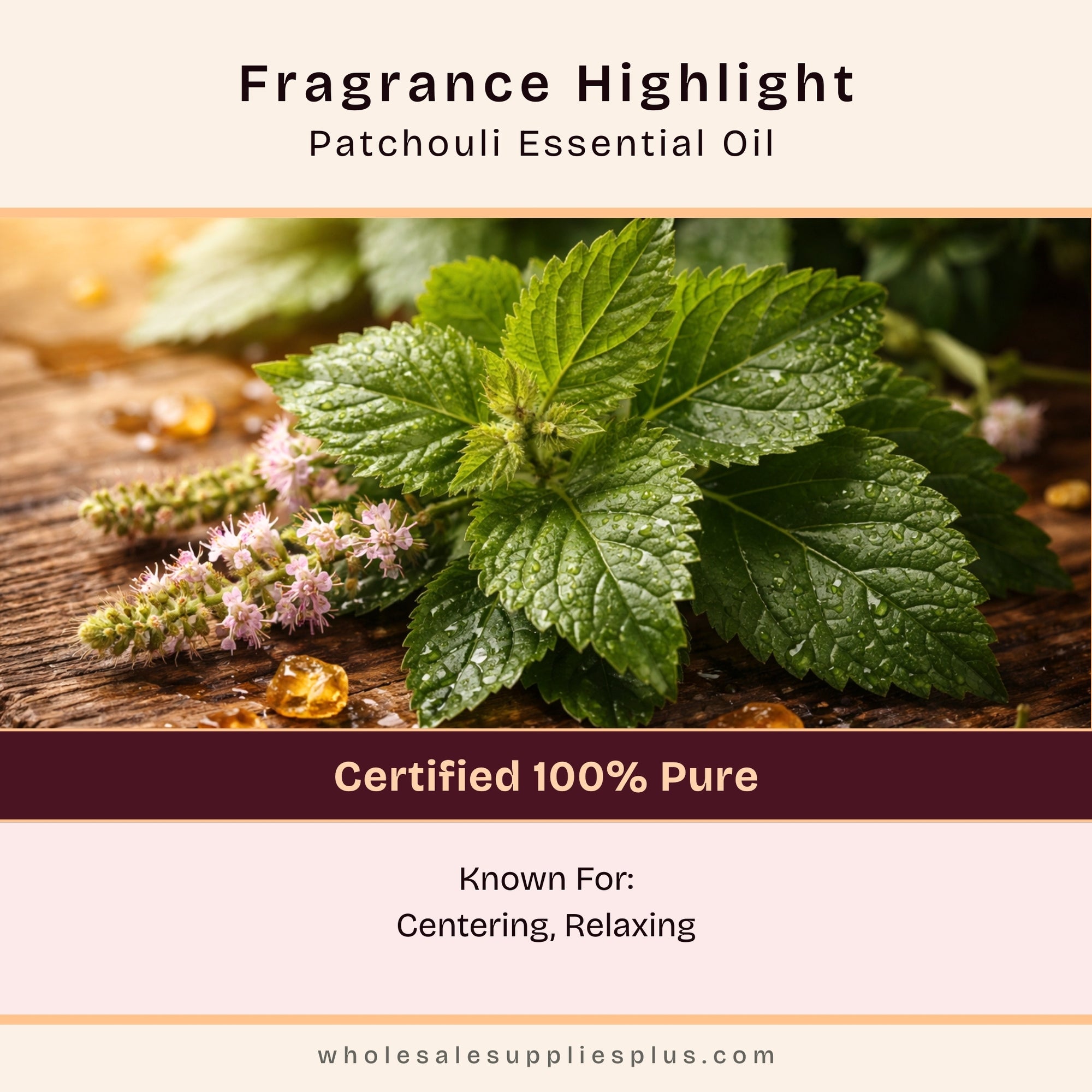 Patchouli Essential Oil - 100% Pure 711