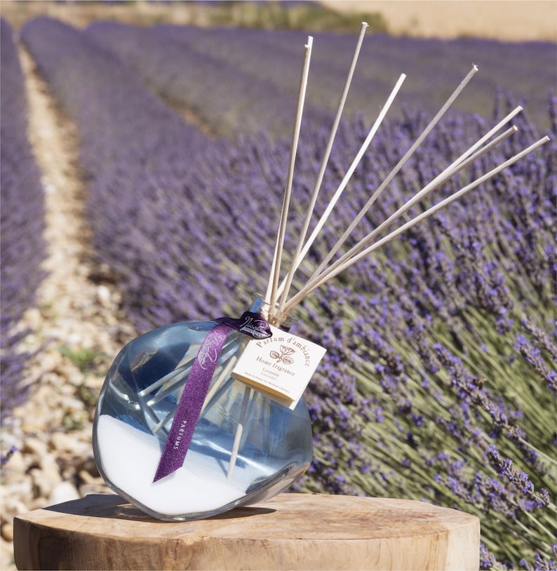Elegant Large Reed Diffuser in a Unique Handmade Glass Bottle with All Natural Fragrance