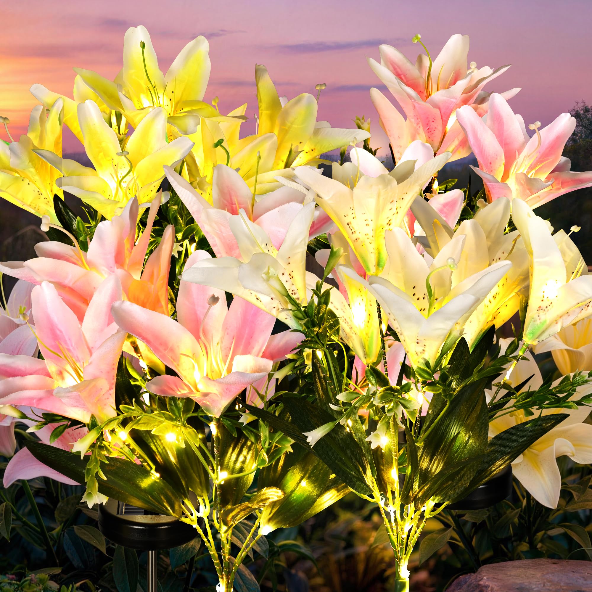 Solar Garden Lily Lights🌷