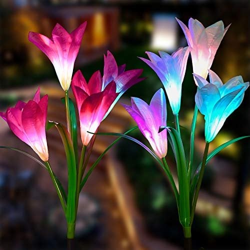 Outdoor Solar Lily Flower Light 🌷
