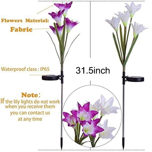 Outdoor Solar Lily Flower Light 🌷