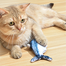 mackerel