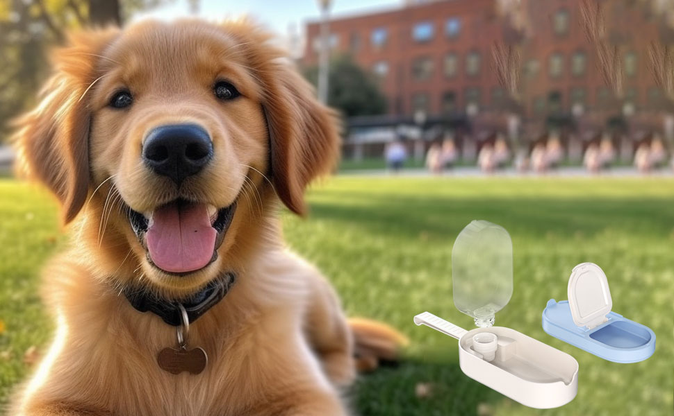 dog bowl 9