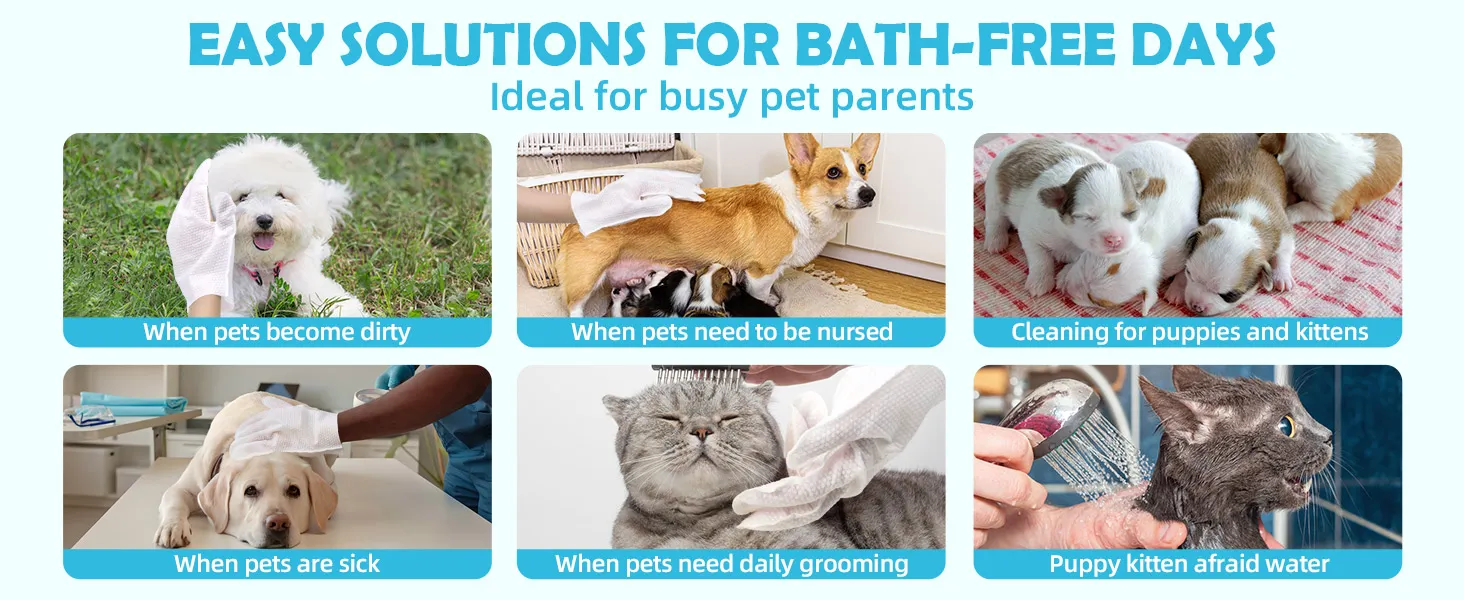 cat wipes