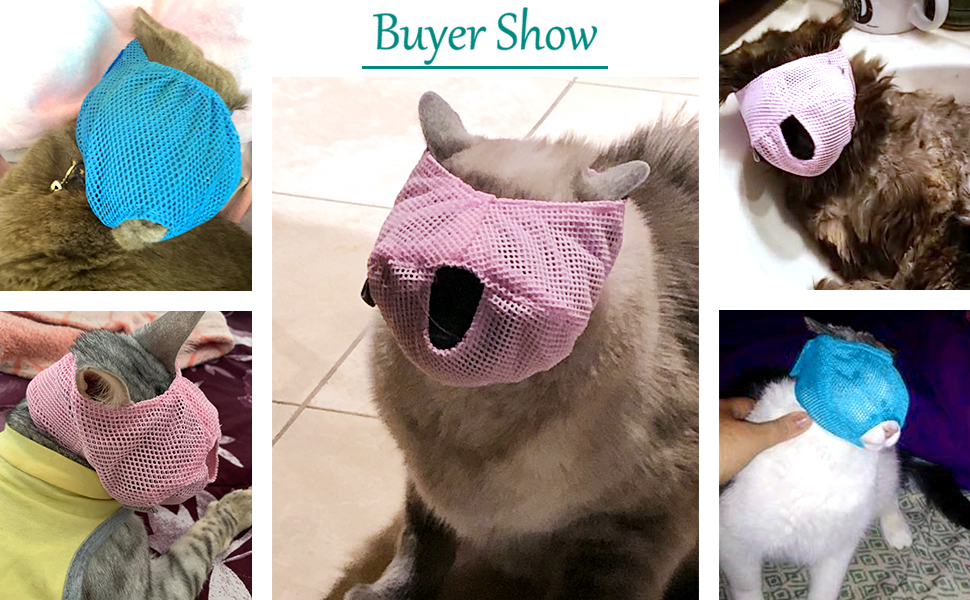 Dog Cat Muzzle A+ 2