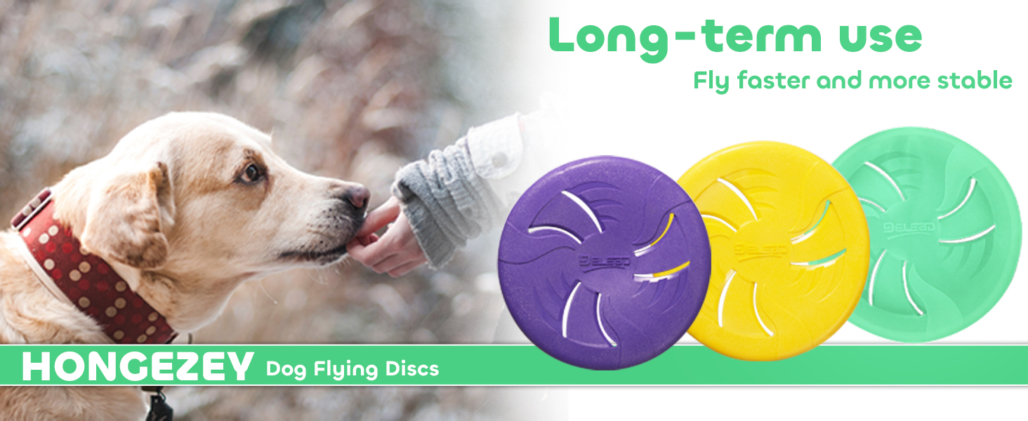 dog frisbee