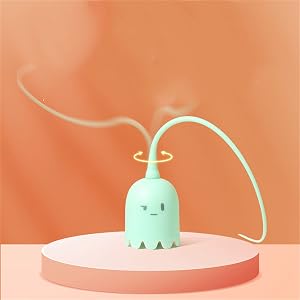 automatic cat toy