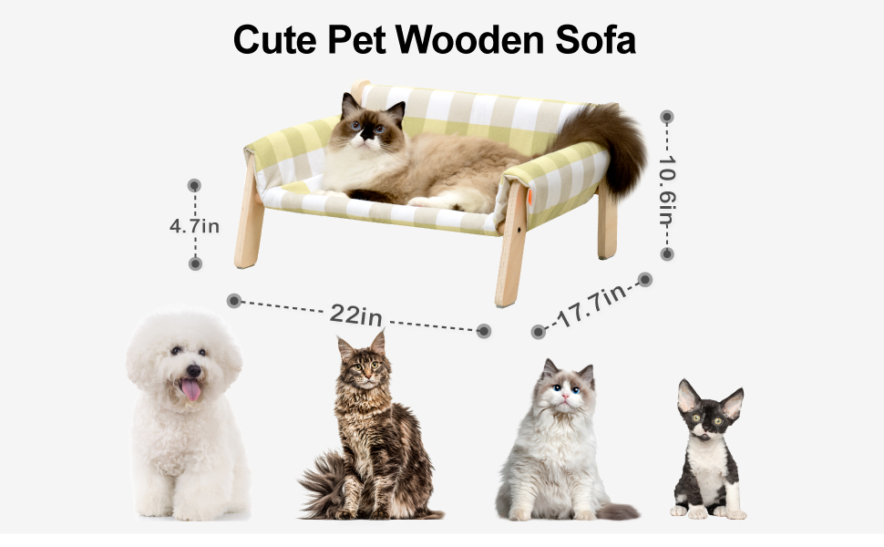 cat wooden sofa