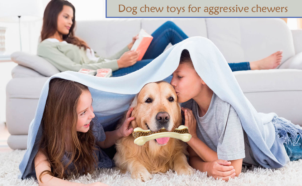 dog chew toys
