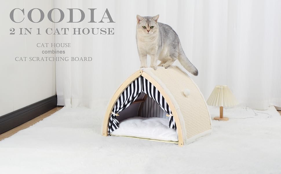 cat house with scratching board