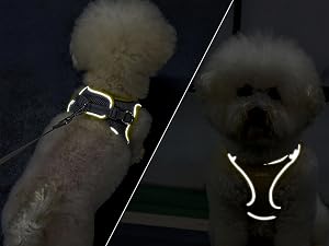 AIITLE Step in Dog Harness and Leash Set - Summer Dog Vest Harness with Super Breathable Mesh