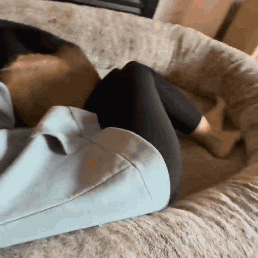 Adult relaxing with a dog in the extra-large floor lounger
