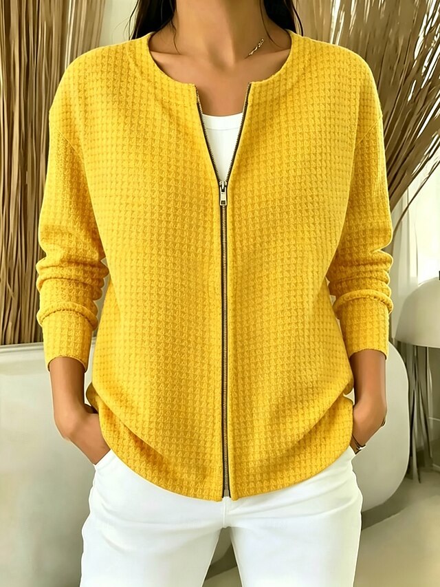 Women's Pullover Plain Vintage Basic Classic Long Sleeve Crew Neck Regular Tops