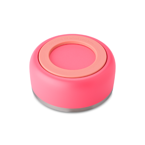 Owala Pet Bowl