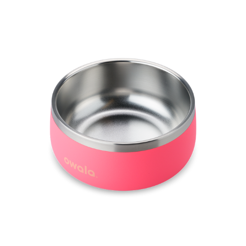 Owala Pet Bowl