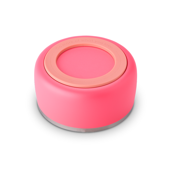 Owala Pet Bowl