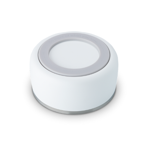 Owala Pet Bowl