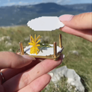 Placing a fresh flower inside the miniature flower press