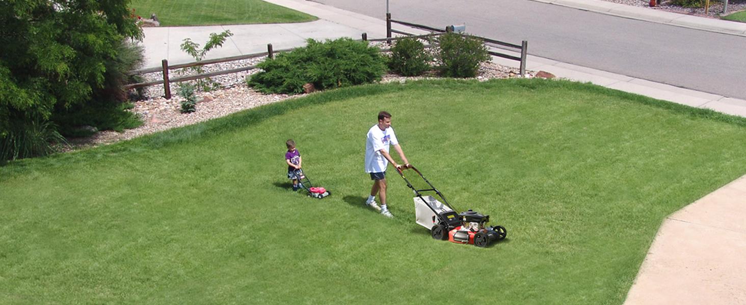 PowerSmart 18-Inch 2-in-1/3-In-1 Gas Lawn Mower, 4-Cycle OHV 144cc Engine, Walk-Behind Push Lawn Mower, Mulch/Bag/Side Discharge, 5/6 Height Adjustment, Heavy-Duty for Small Yards (DV8618C/DV8618P)