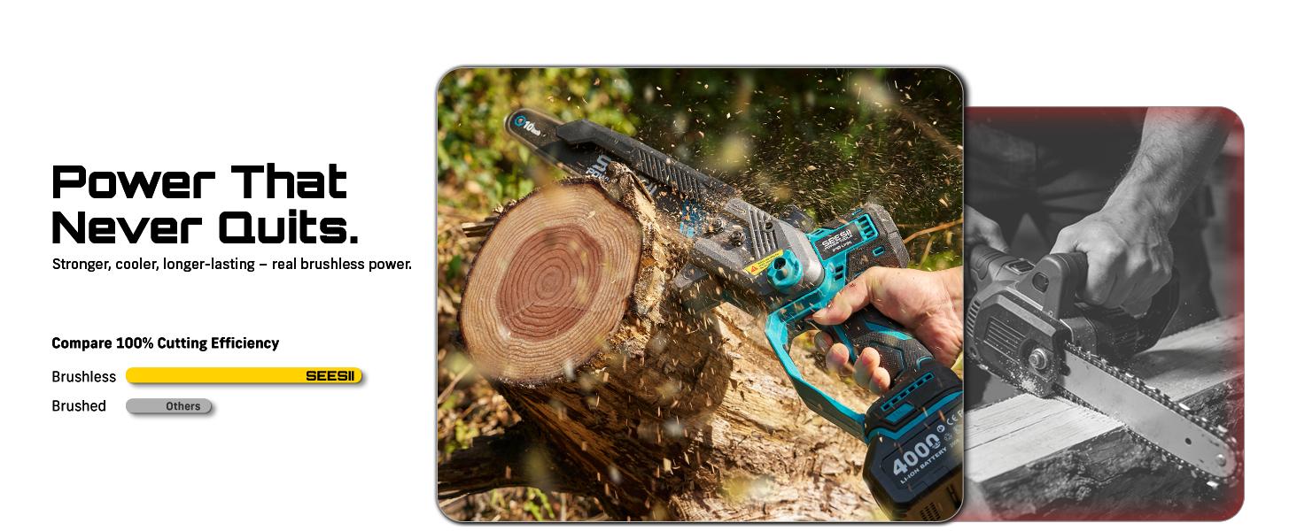 SEESII (10/8)-Inch 2-in-1 Cordless Pole Saw & Mini Chainsaw, 900W Brushless Motor & 2 x 2/4.0Ah 21V Batteries, 16Ft Max Reach & 14 Piece Kit for Tree Trimming P10 Uniq/P8 Ace/P6 Ace CHT11