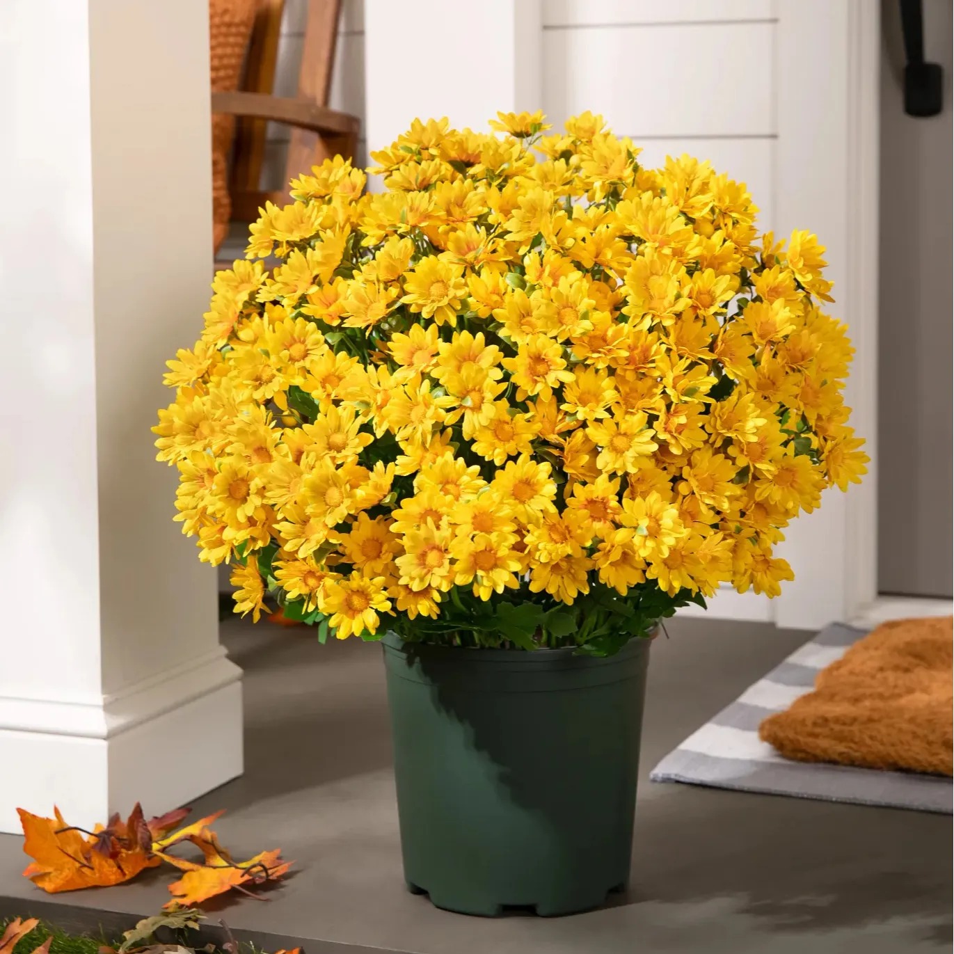 💥Today Only $9.99🌼 UV/Water/Windproof Outdoor Artificial Sunset Mums