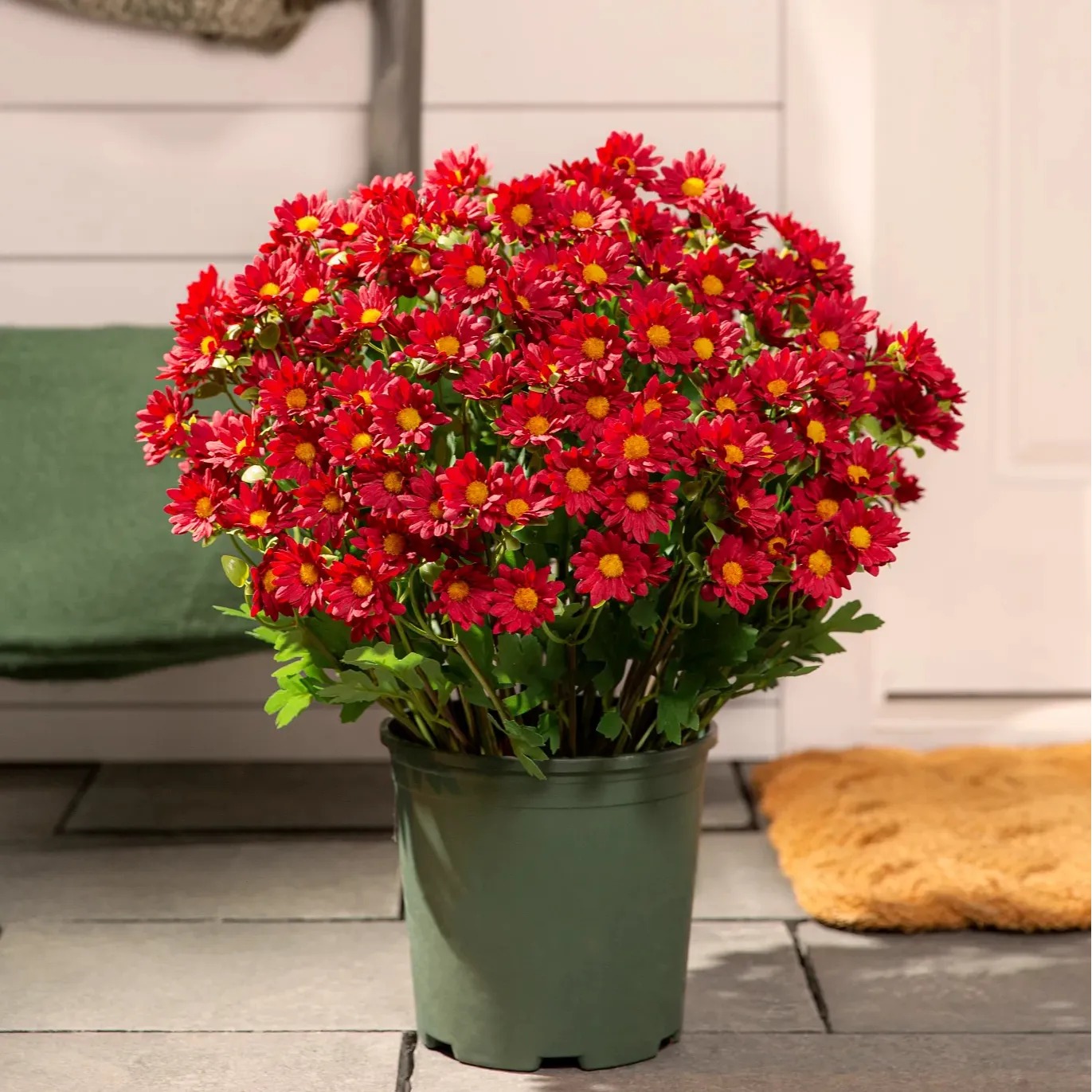 💥Today Only $9.99🌼 UV/Water/Windproof Outdoor Artificial Sunset Mums