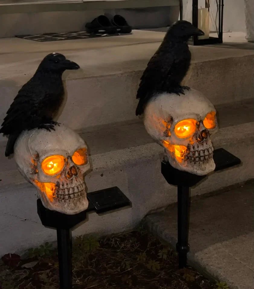 Animated raven skull Halloween decoration feature display