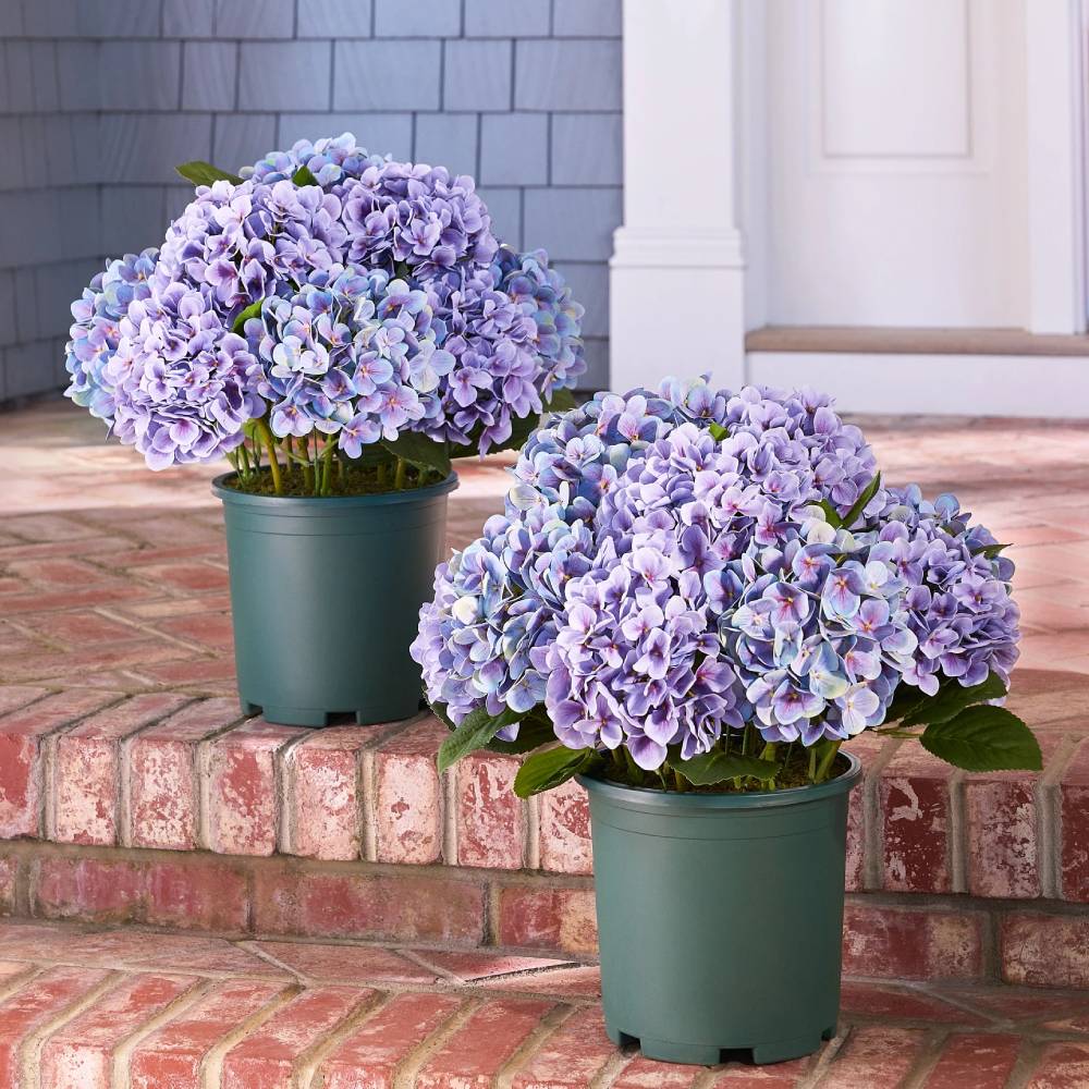 💥Last Day 49% OFF💐Artificial Outdoor Hydrangea Flowers - UV resistant, Waterproof, Windproof