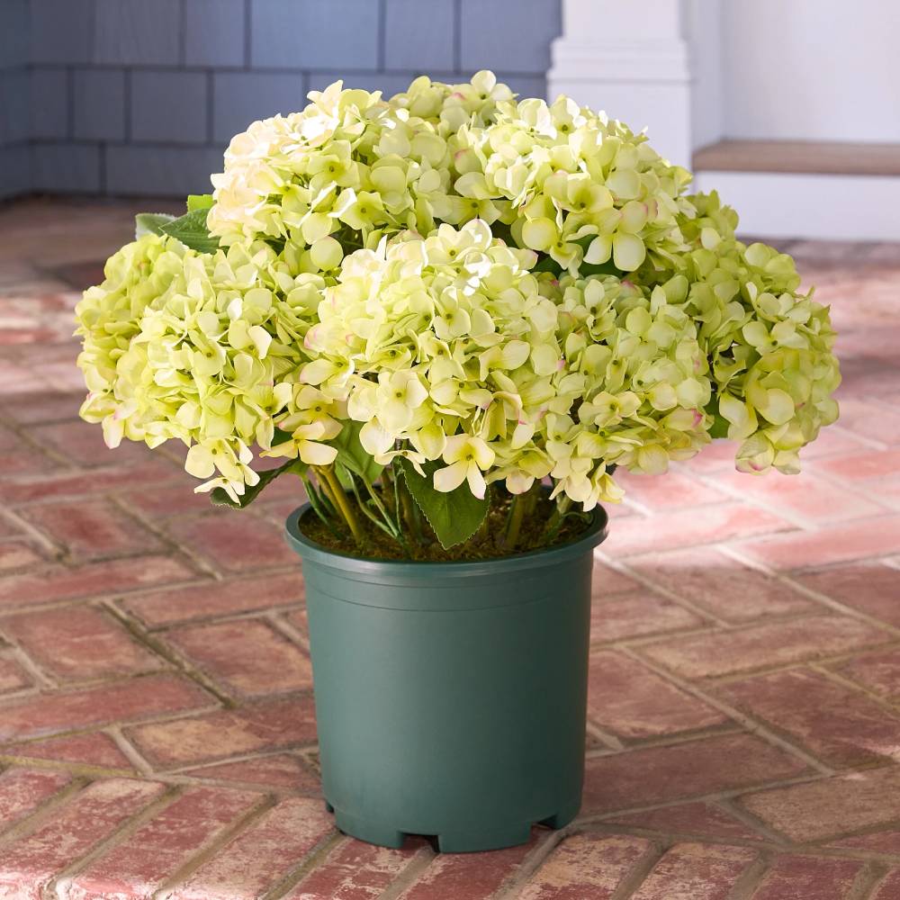💥Last Day 49% OFF💐Artificial Outdoor Hydrangea Flowers - UV resistant, Waterproof, Windproof