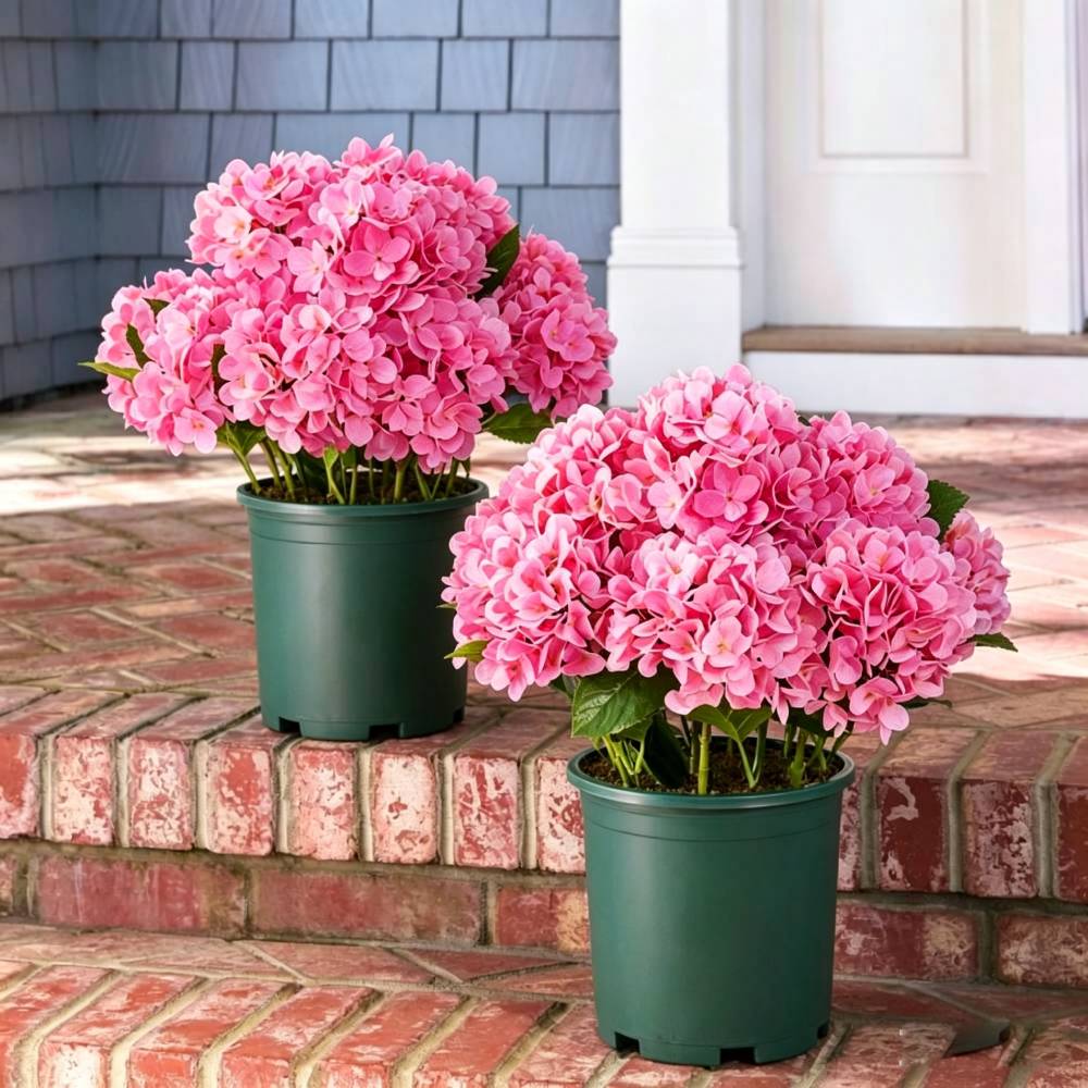 💥Last Day 49% OFF💐Artificial Outdoor Hydrangea Flowers - UV resistant, Waterproof, Windproof