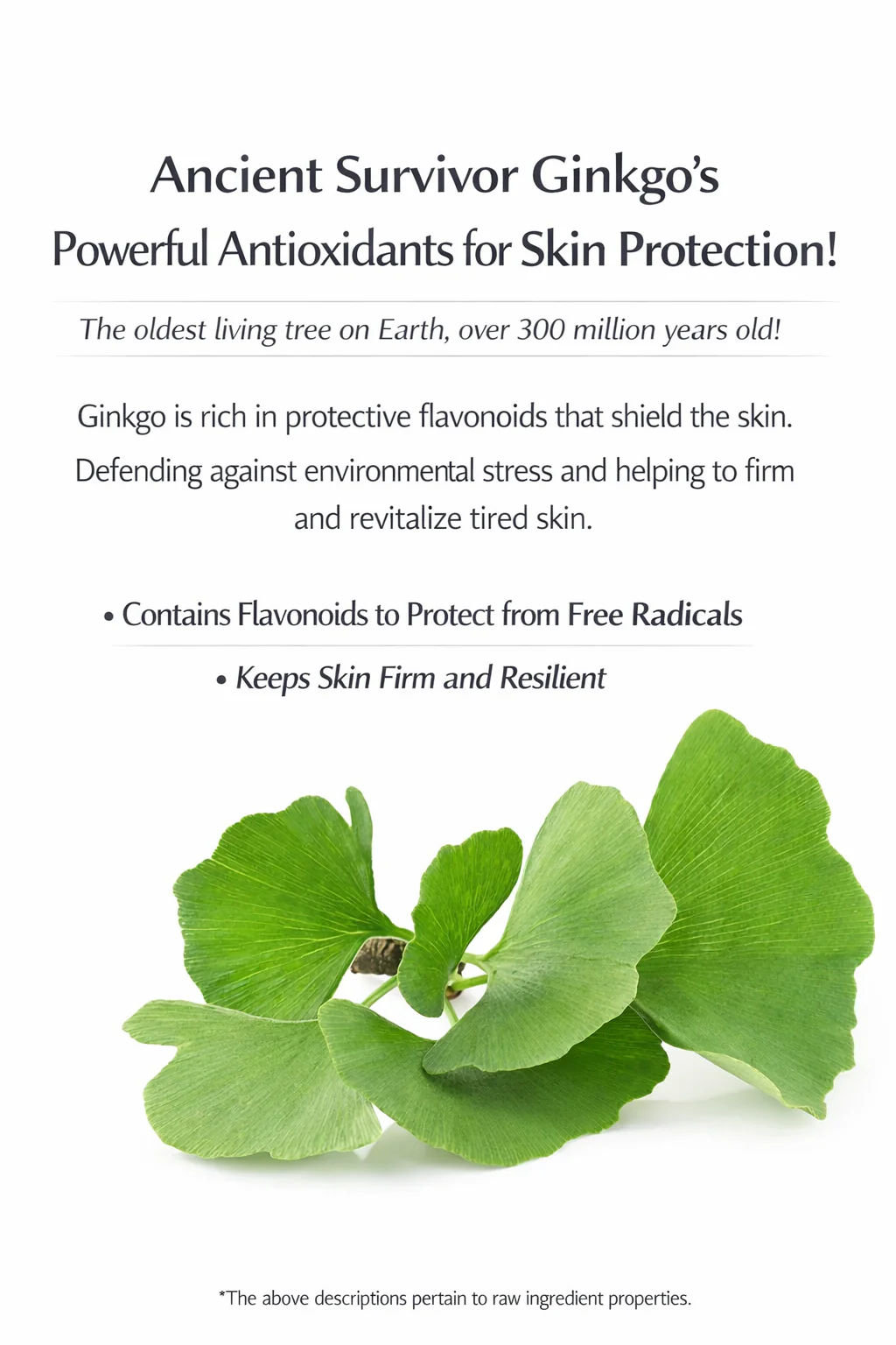 Ginko Calming-in Serum (1.01 fl oz / 30ml)