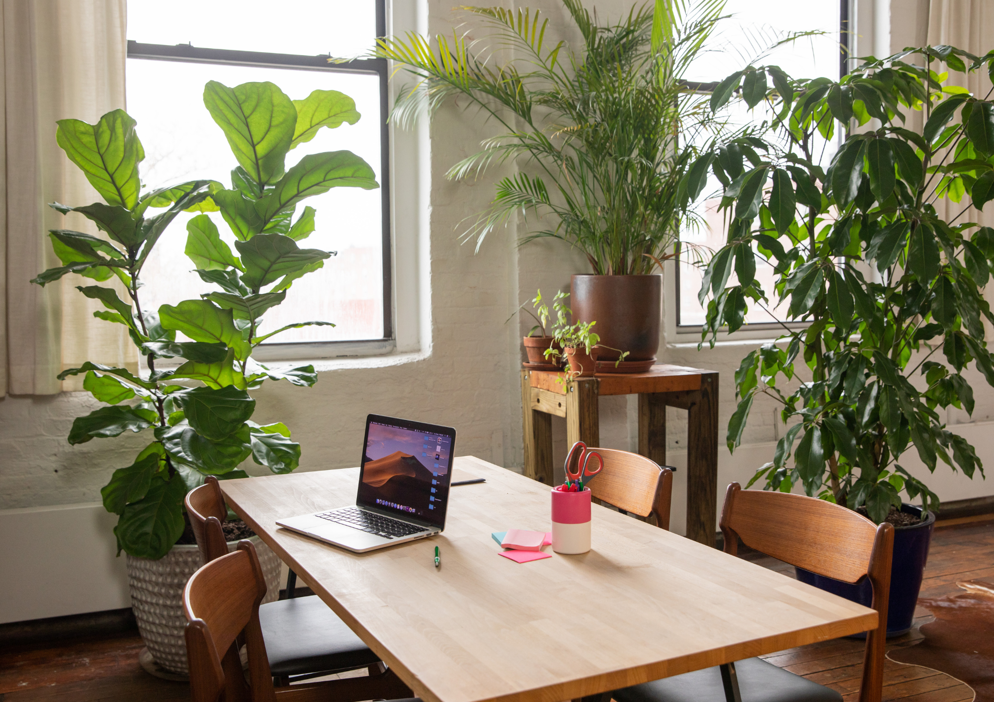 In-person_Ads-_Beautiful_office_starts_with_plants