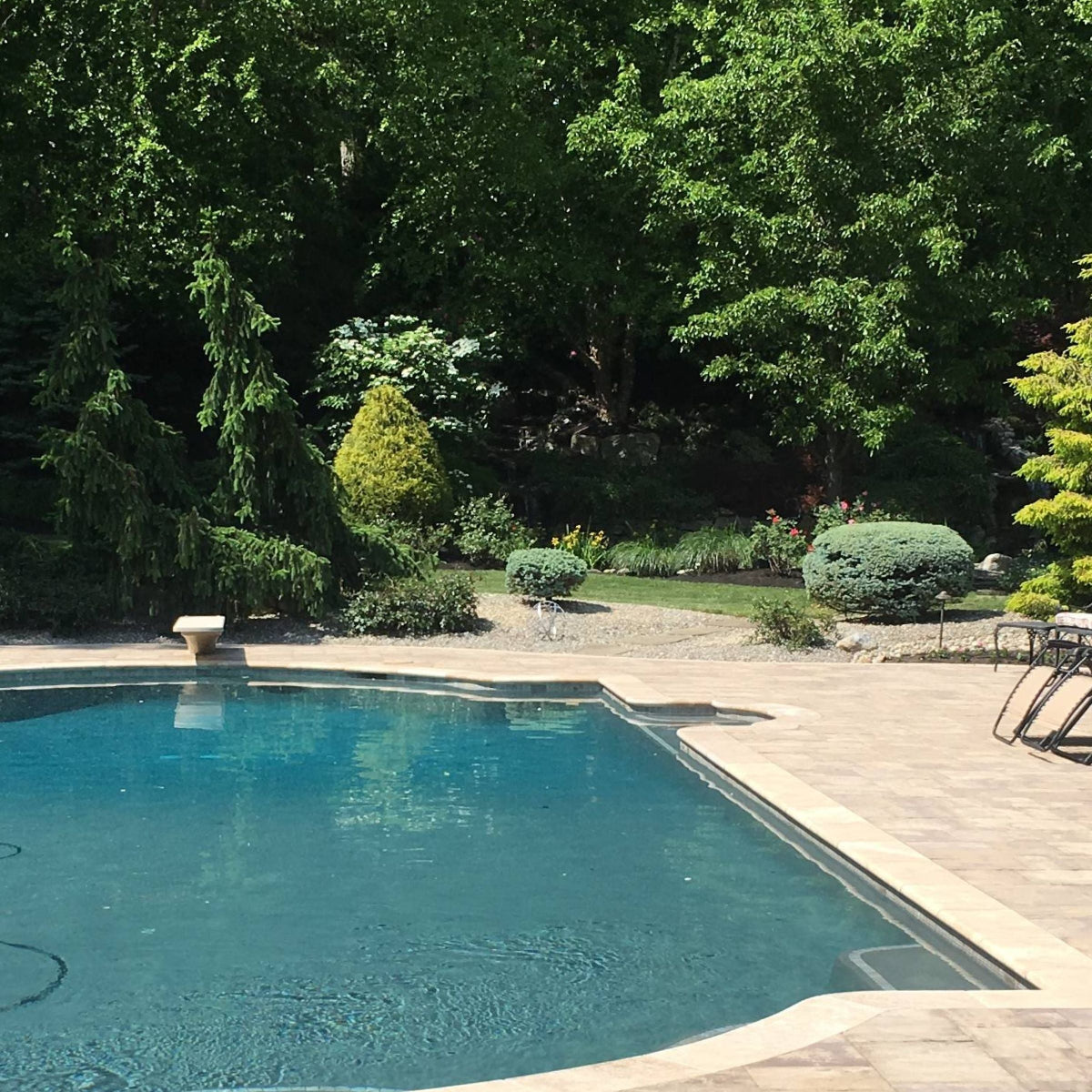 in-ground swimming pool surrounded by stone pavers and a lush landscape featuring mature evergreen trees and manicured shrubs.