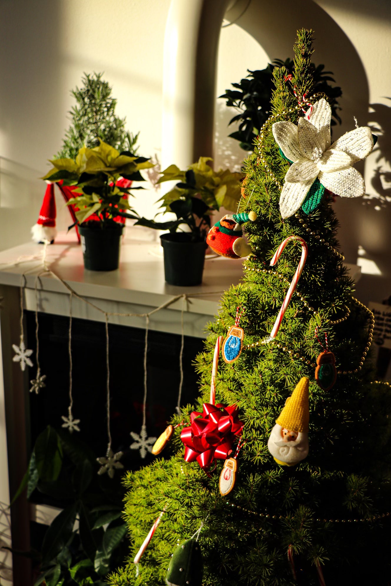 img_4260.HEIC__PID:03e222f0-48b5-47d3-941d-1bc37ad1a10b