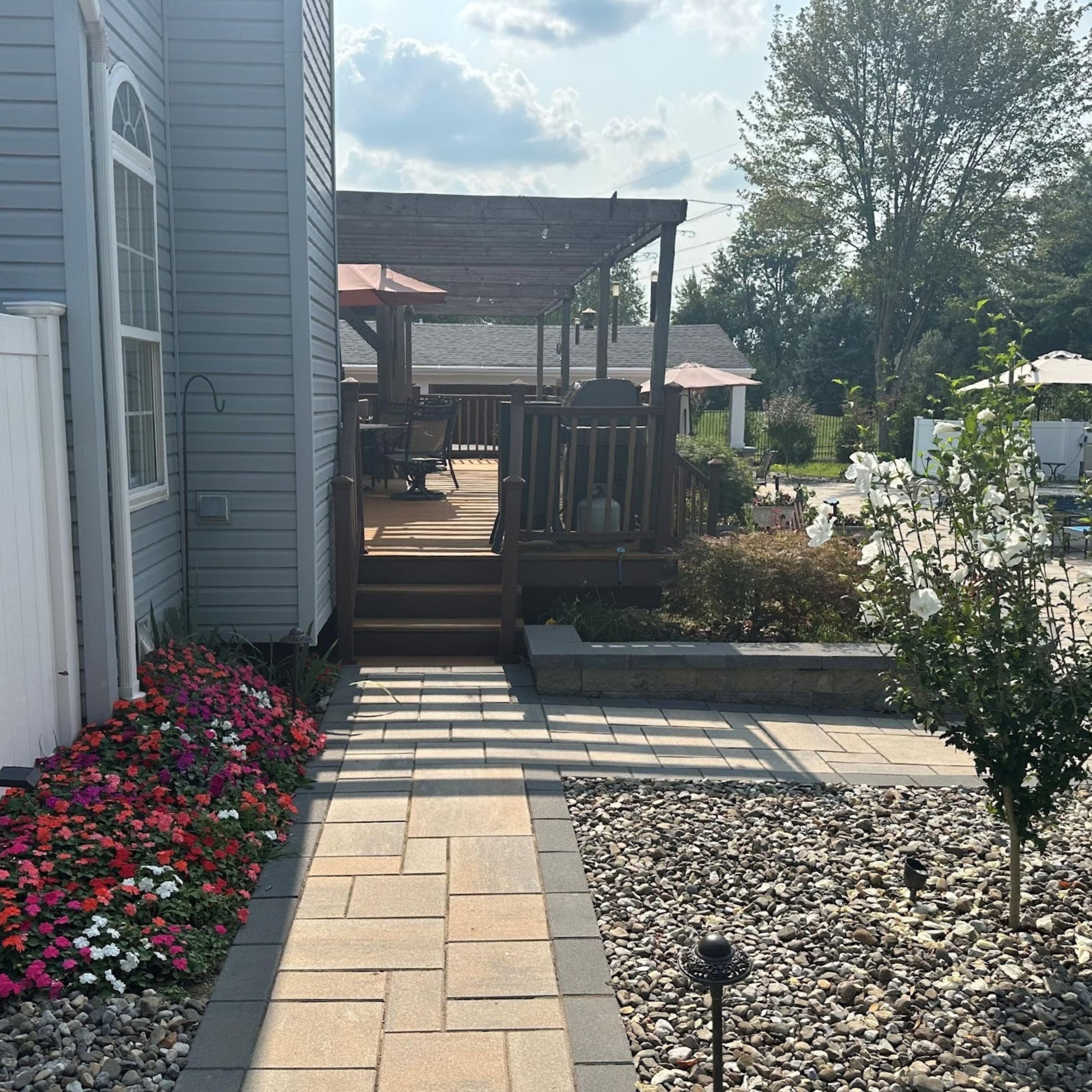 A clean stone paver walkway lined with red begonias and a flowering white Hibiscus tree, leading toward a wooden deck and pergola.