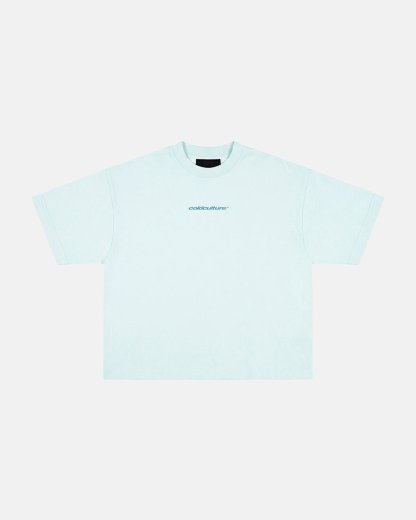 DISTRESS CURVED TEE BLUE
