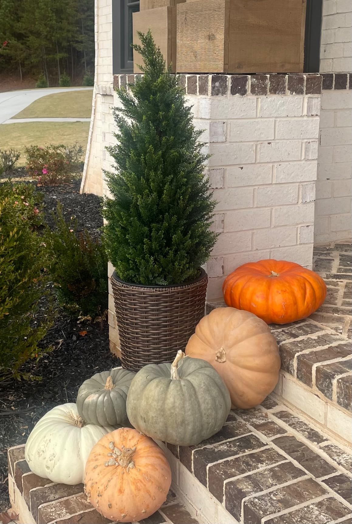 2 pcs Artificial cedar tree, 3FT or 4FT 5FT Tall Faux Cedar Tree, UV-Resistant Topiary Trees Artificial Outdoor, Artificial Trees for Outdoors Porch Garden christmas tree Christmas tree Plants Decorative 2 pcs Artificial cedar tree, 3FT or 4FT 5FT Tall Faux Cedar Tree, UV-Resistant Topiary Trees Artificial Outdoor, Artificial Trees for Outdoors Porch Garden christmas tree Christmas tree Plants Decorative