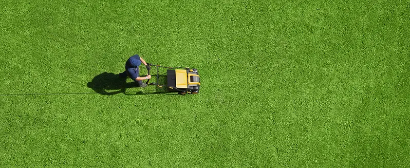 Product Introduction of 2025 Upgraded EVEAGE 16-Inch 15 Amp Electric Dethatcher & Scarifier, 5-Position Depth Adjustment, 14.5gal Collection Bag, Increases Lawn Health spin brush magnetic sweeper Foldable Grabber rake 25