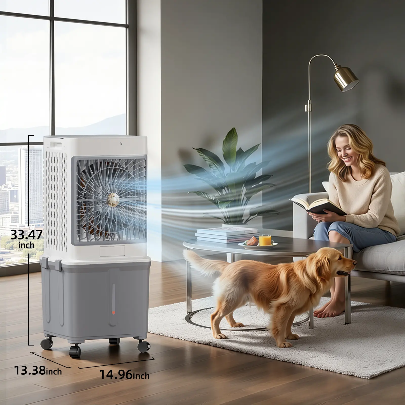 Air Cooler- 1200W Adjustable Power