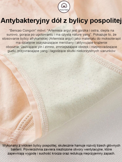 Oferta specjalna! Antybakteryjne majtki z piołunem gwarantują pełną ochronę zdrowia!