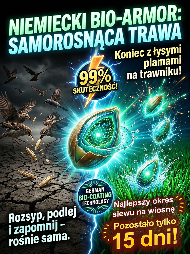 🔥🔥【Kiełkowalność 99%】Całoroczne mrozoodporne nasiona trawy na trawnik